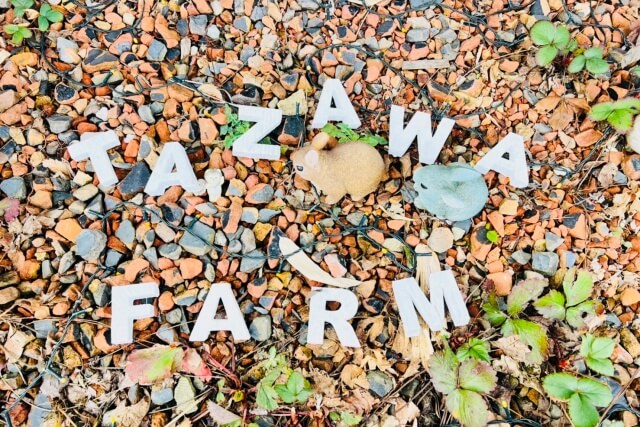 店舗前のTAZAWA FARM と書かれている地面の様子