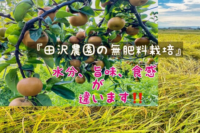 田沢農園の田んぼと梨の木の背景に「田沢農園の無肥料栽培は他と美味しさが違う」と書かれている