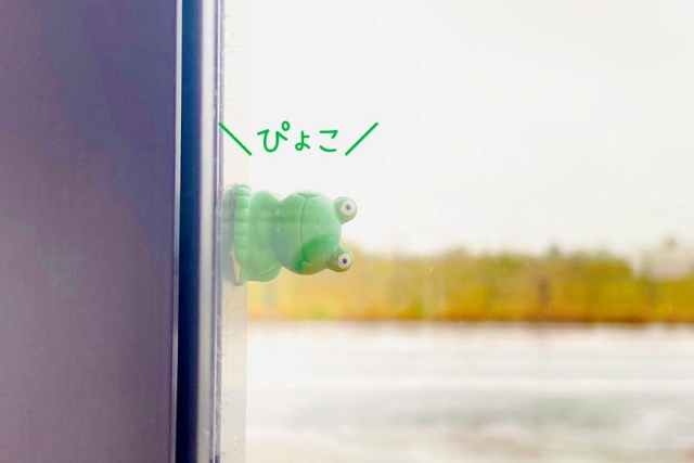 田沢農園2023年冬　窓に付けたかわいいカエルのフィギュア