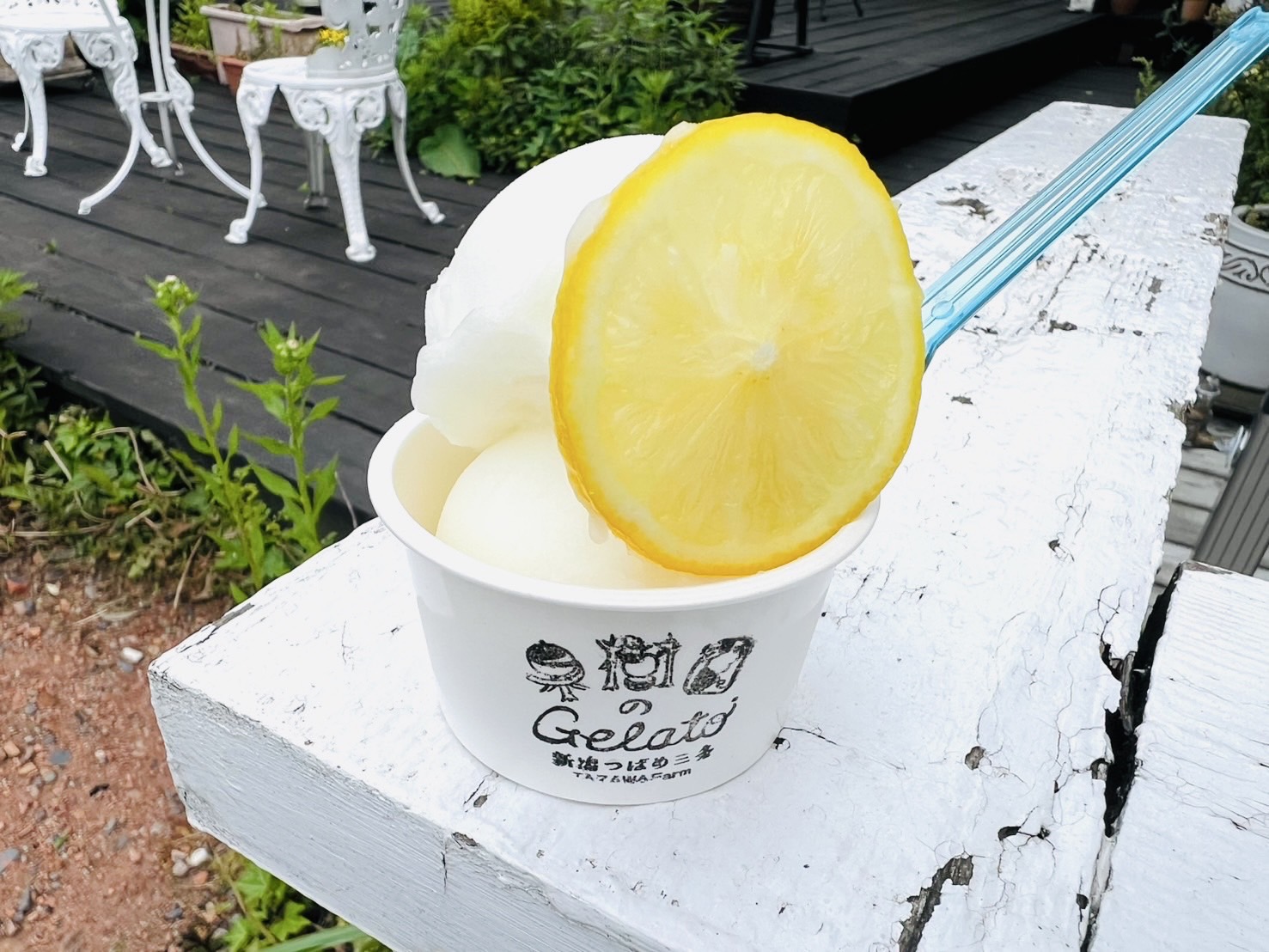 ジェラート リモンチェッロ