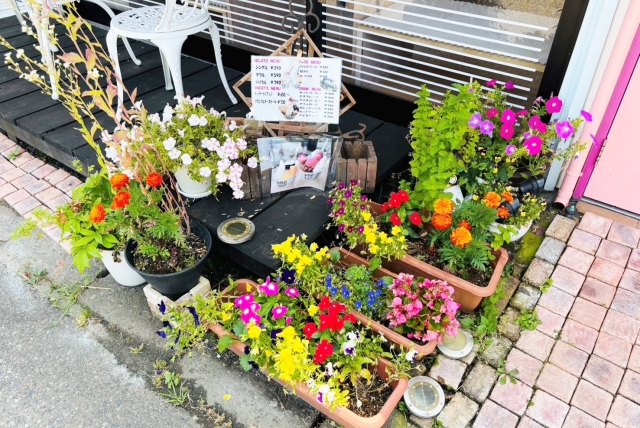 新潟・三条のジェラート田沢農園の入口前の花壇2025年夏