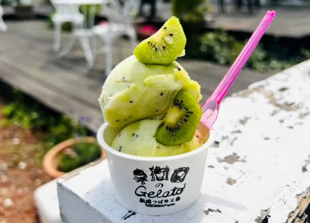 ジェラート キウイ
